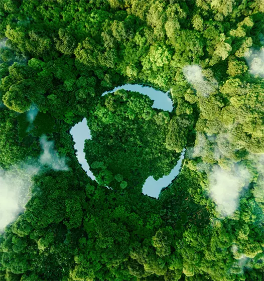 Lakes in a Forest
