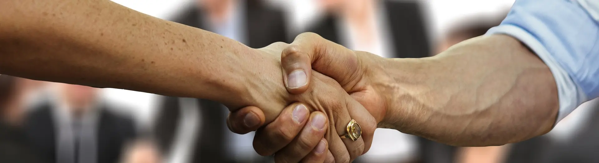 Two People Shaking Hands